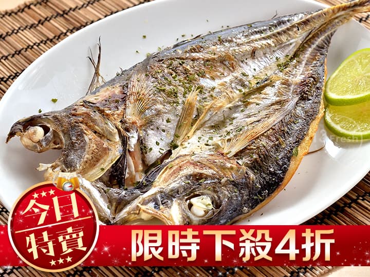 黃金竹筴魚一夜干
