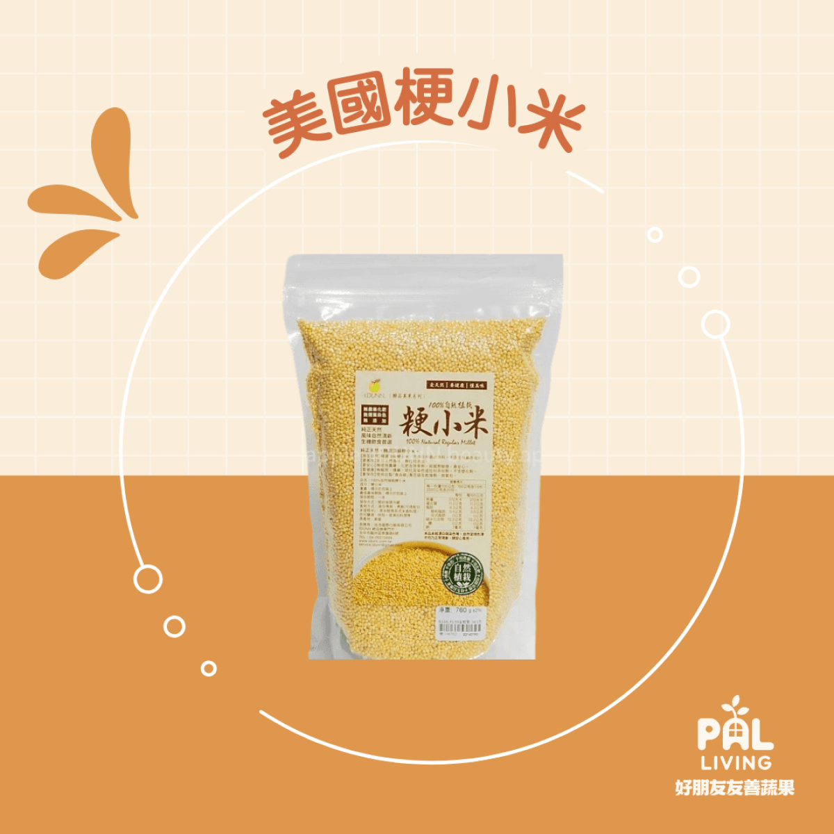 美國梗小米自然植栽