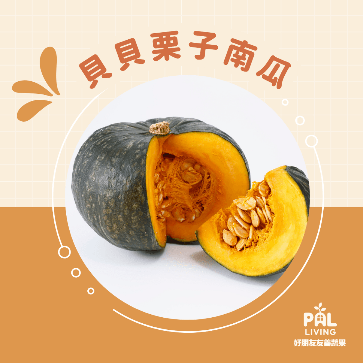 無毒貝貝栗子南瓜