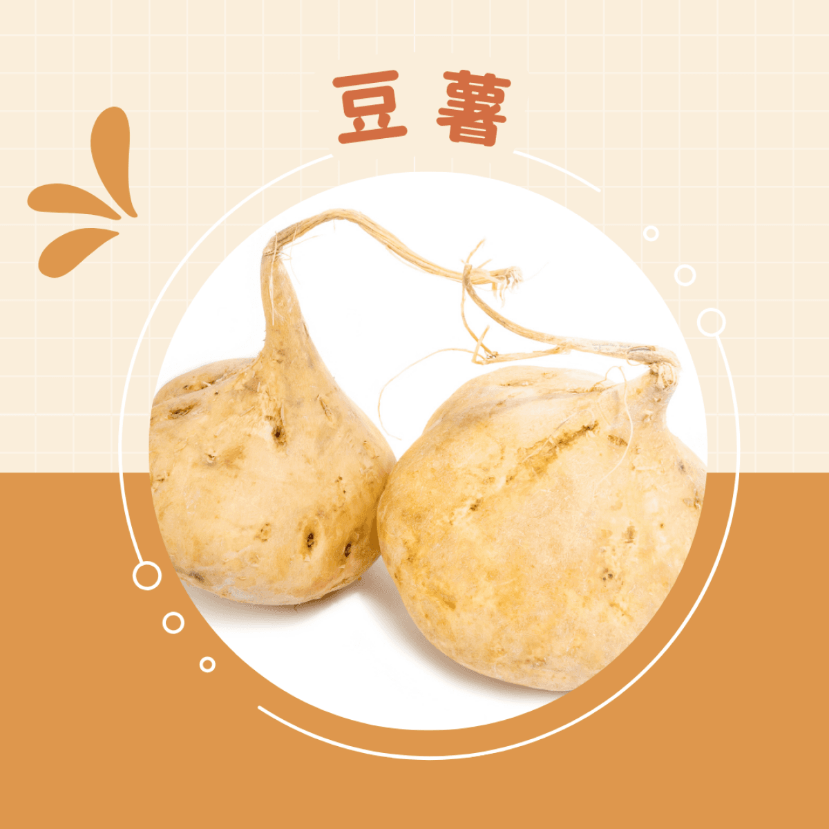 無毒豆薯