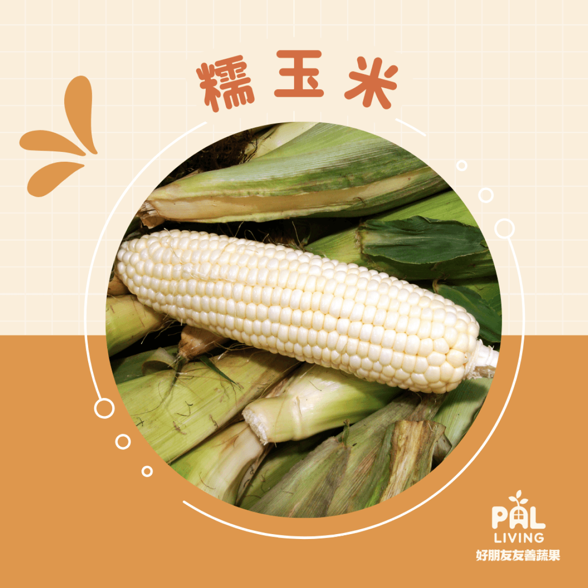內心有機農場 | 有機白糯玉米 (星期四到貨)