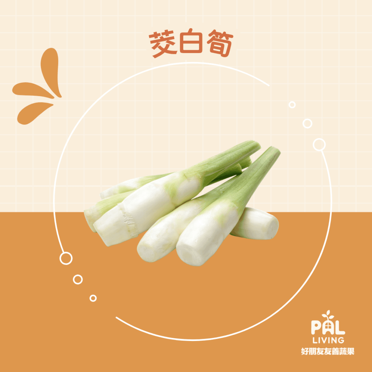 有機筊白筍