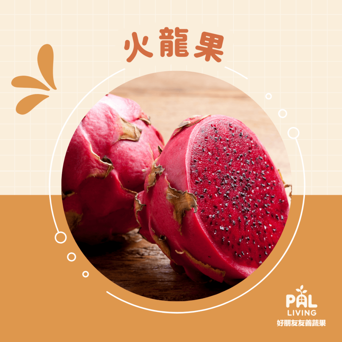 有機特級火龍果
