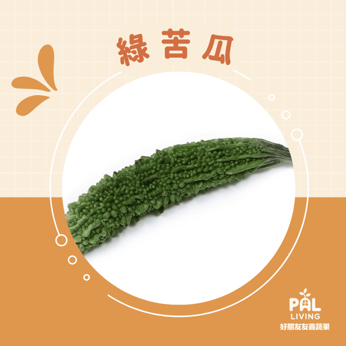 有機山苦瓜