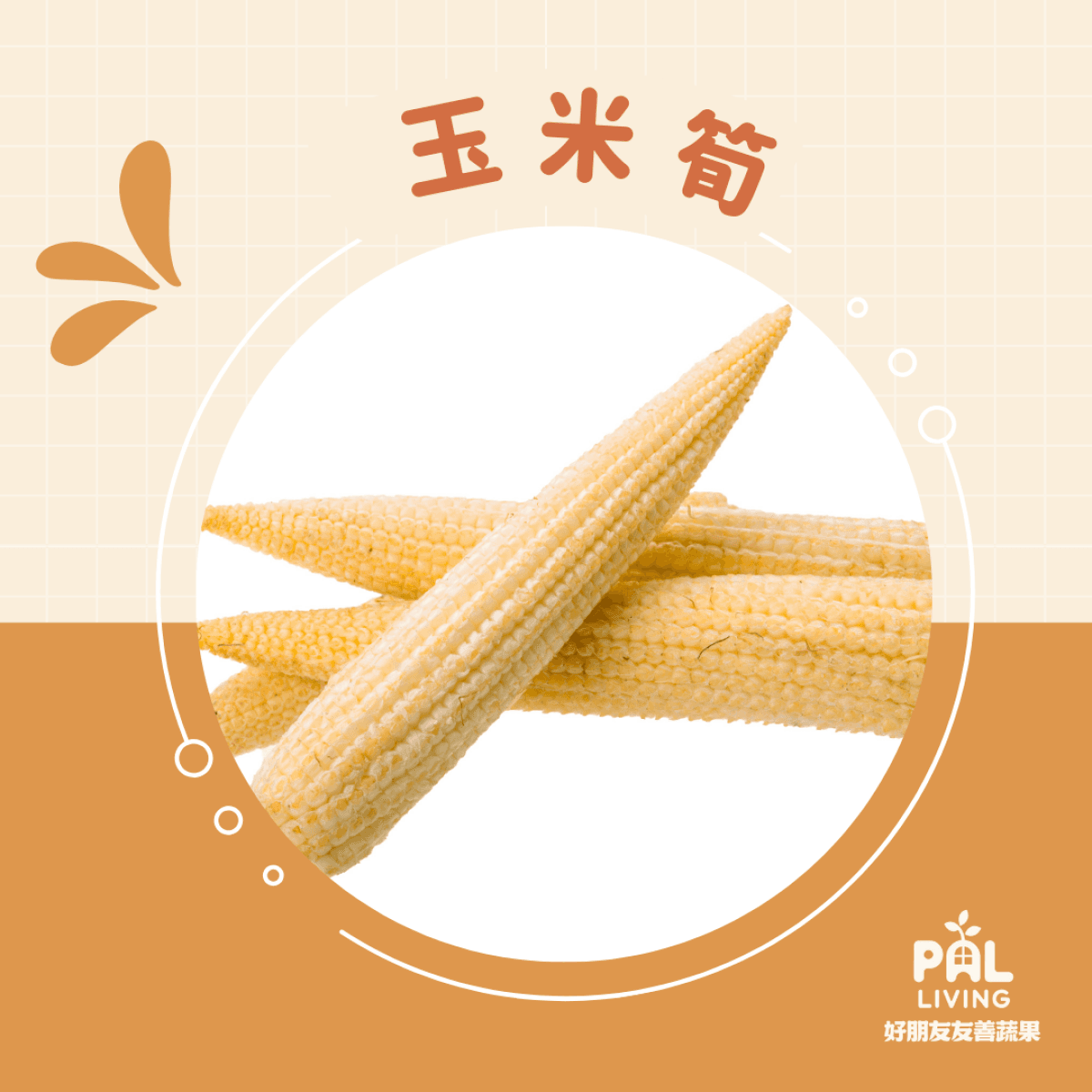 有機轉型去殼玉米筍