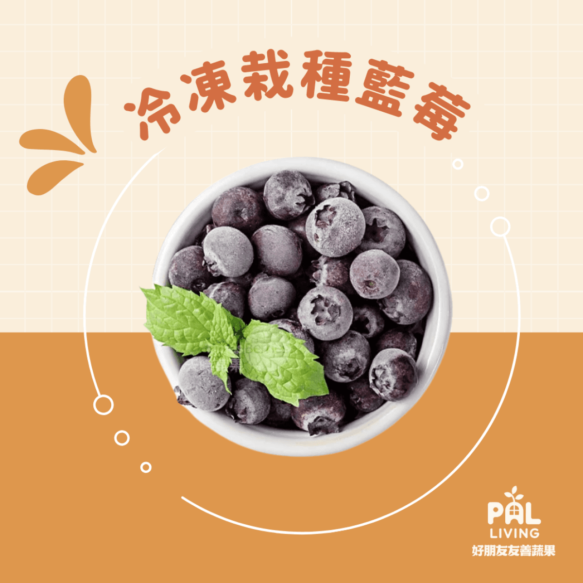 美國 冷凍栽種藍莓