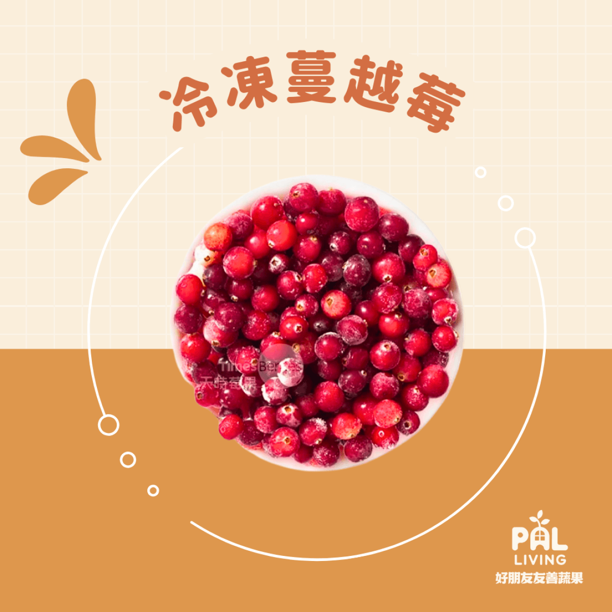 加拿大 冷凍蔓越莓