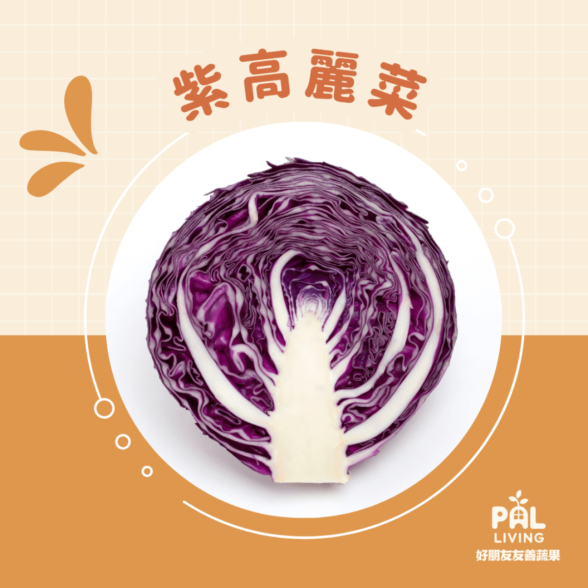 有機紫高麗菜