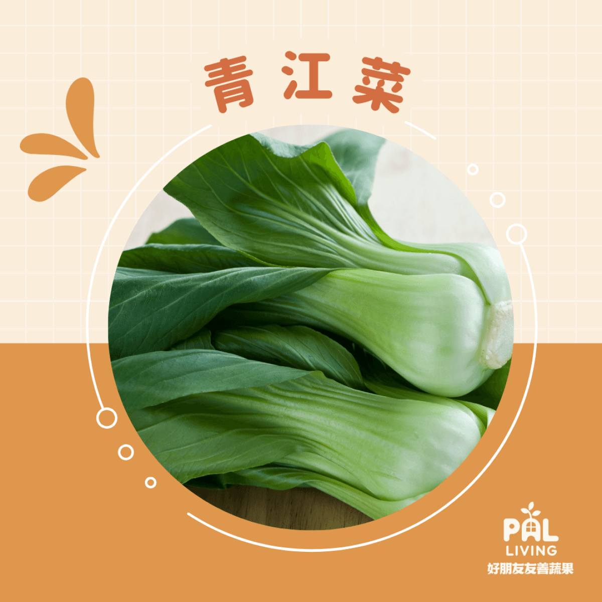 有機青江菜