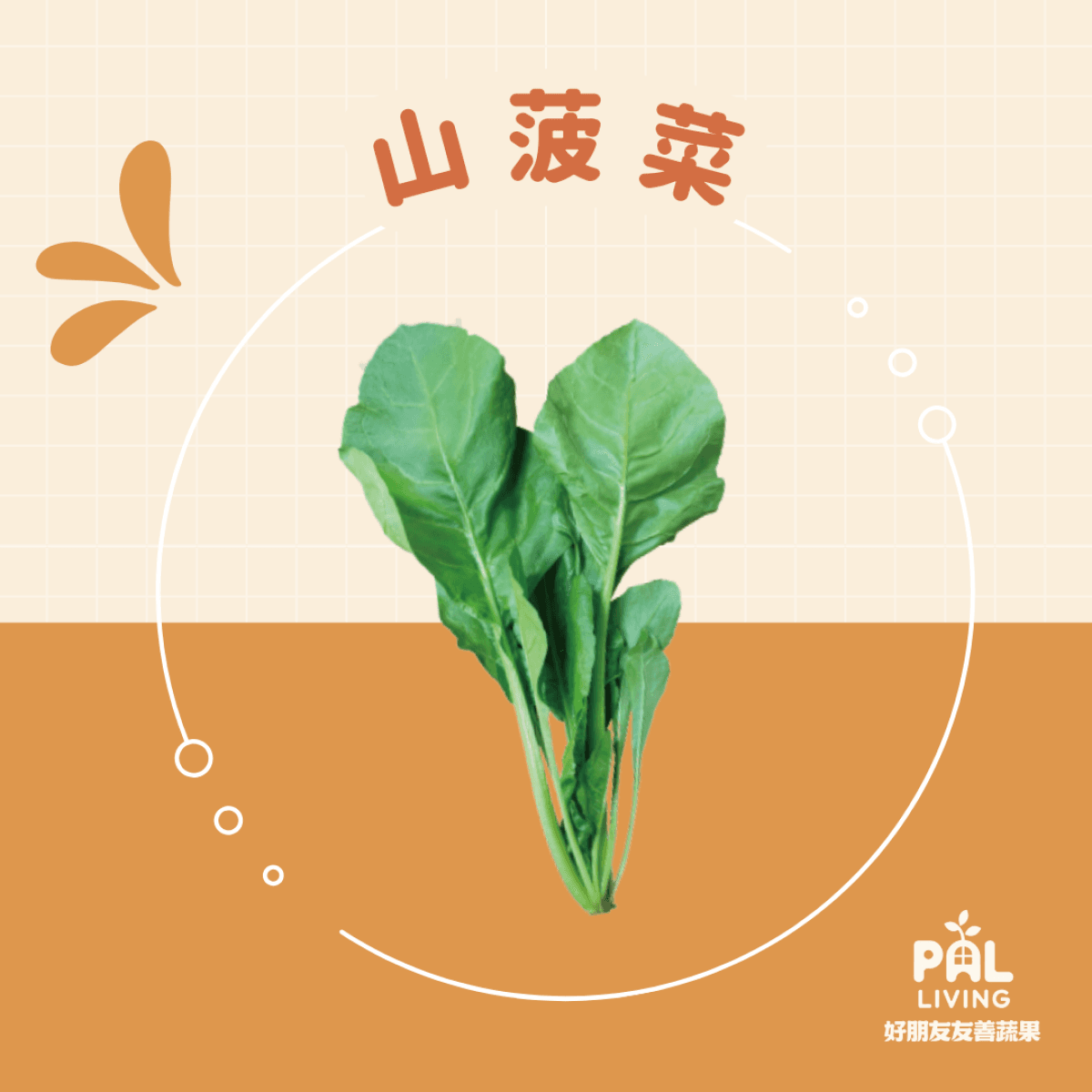 有機山菠菜