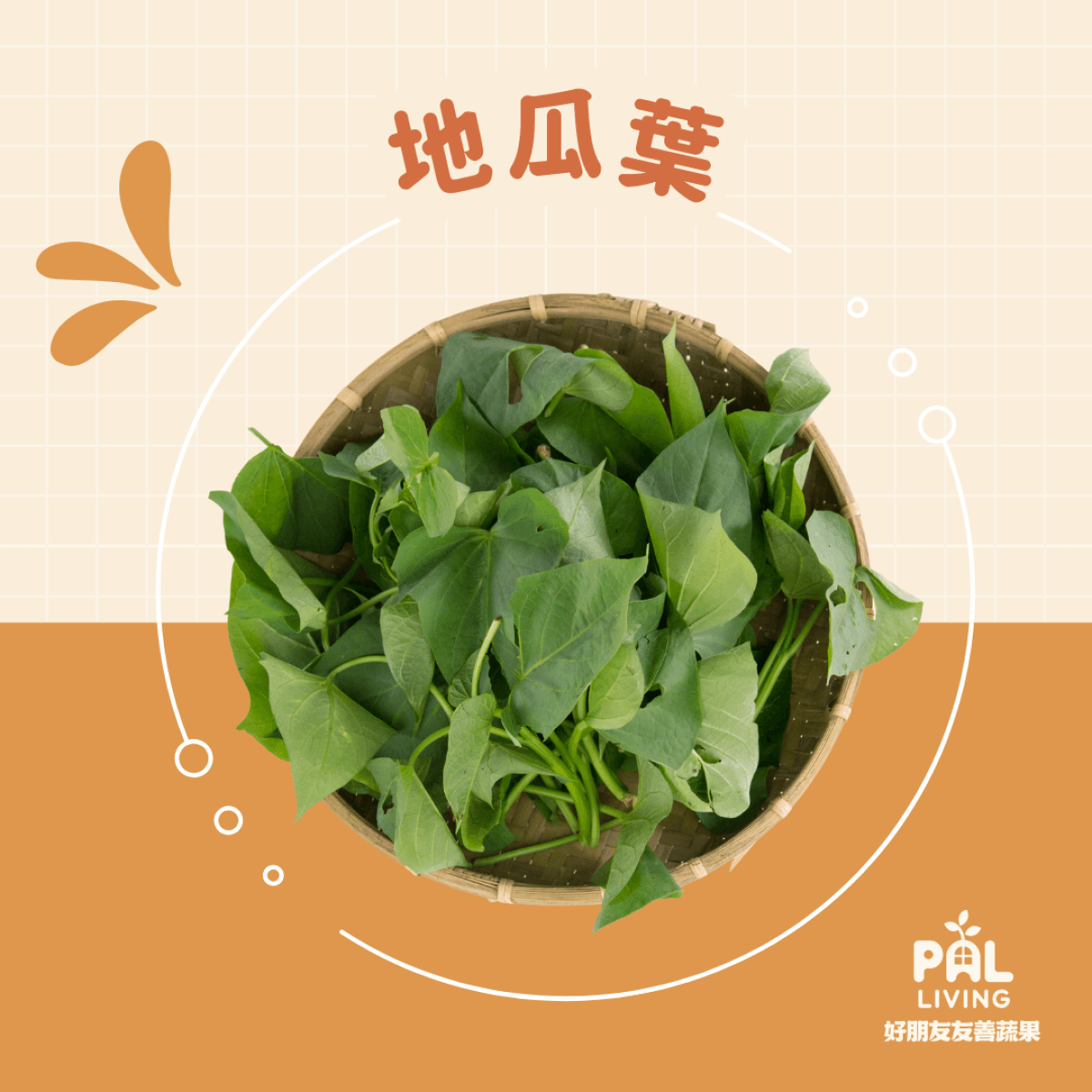 綠地瓜葉
