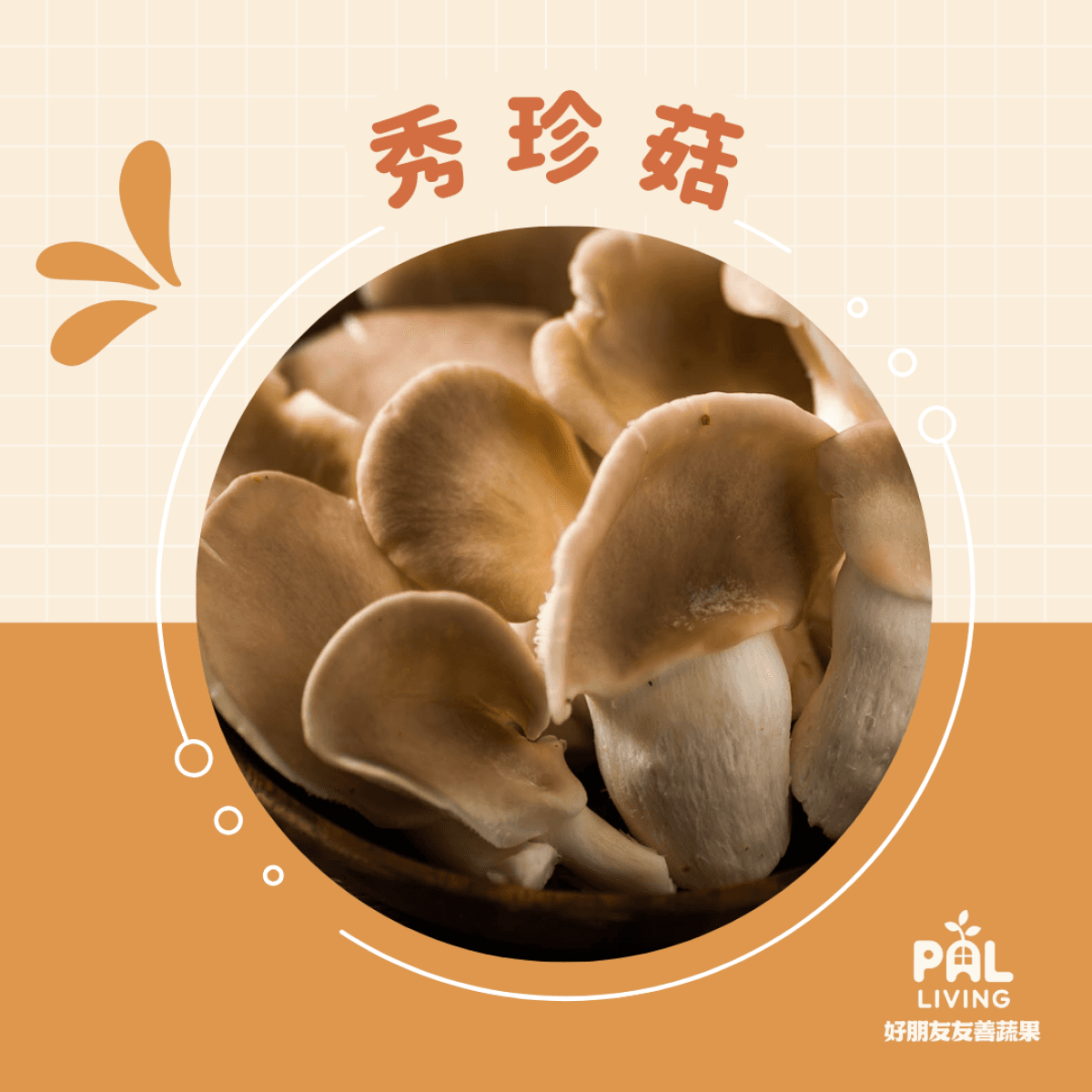 秀珍菇
