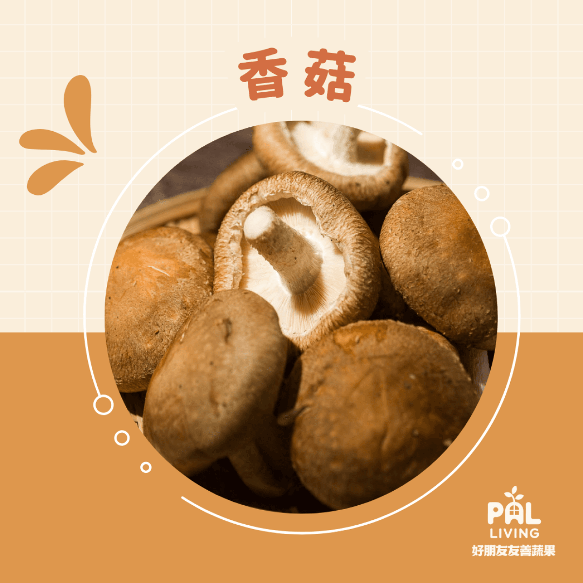 鮮香菇