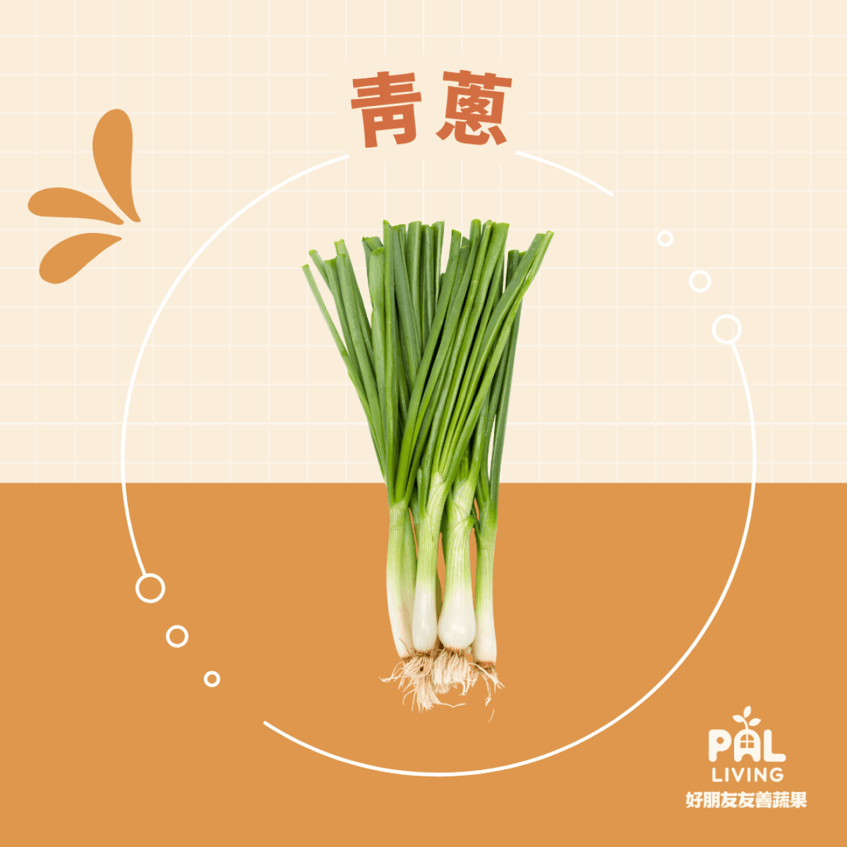 有機青蔥