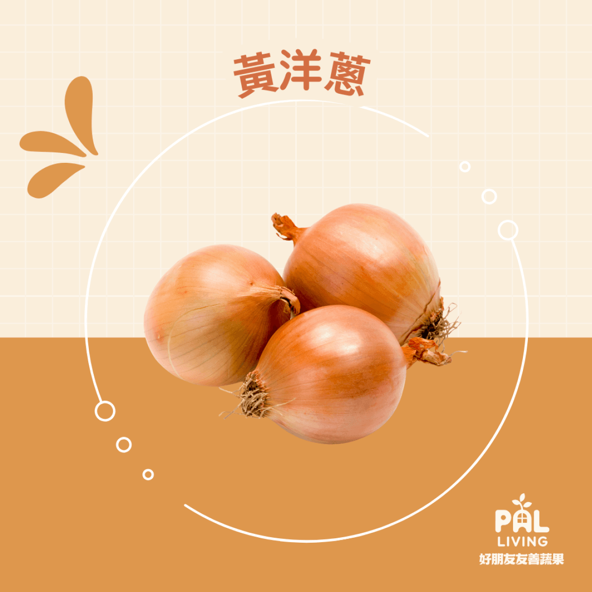 有機台灣黃洋蔥