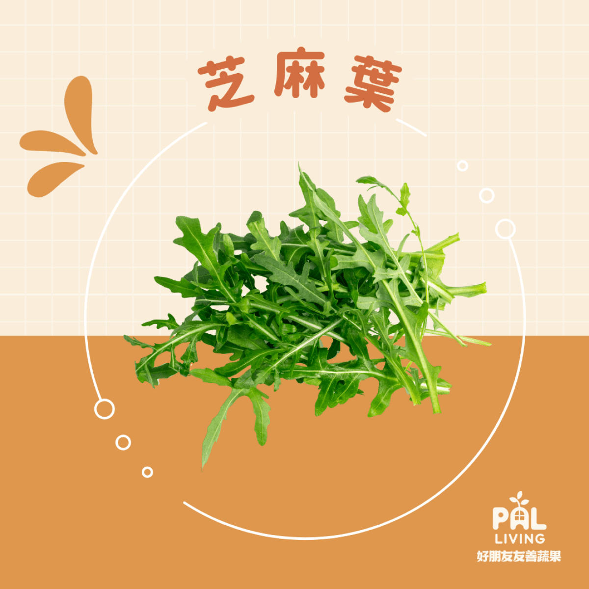 友善芝麻葉