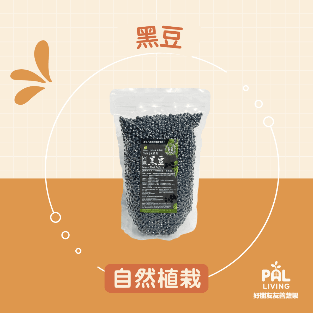 黑豆台灣自然植栽