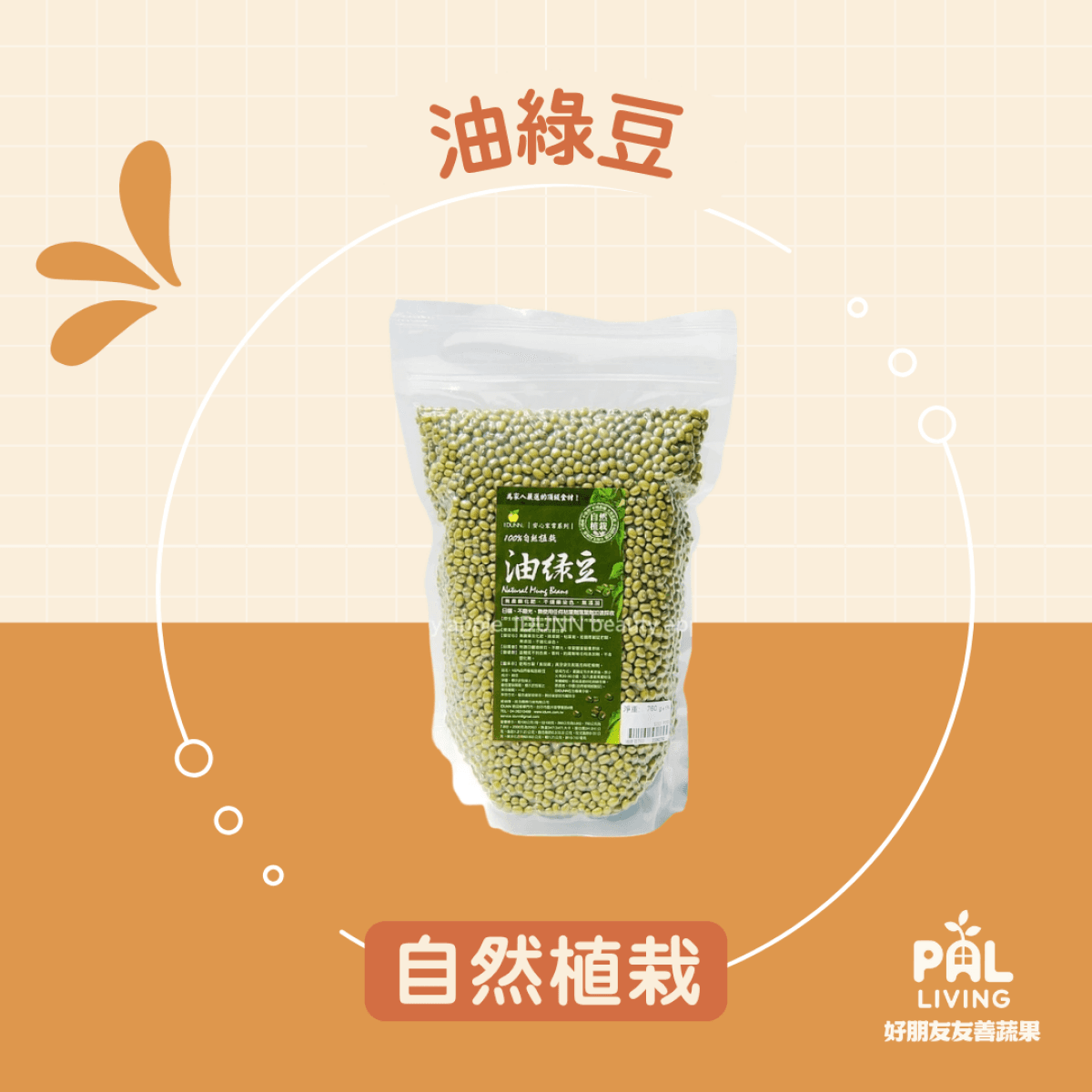 油綠豆自然植栽