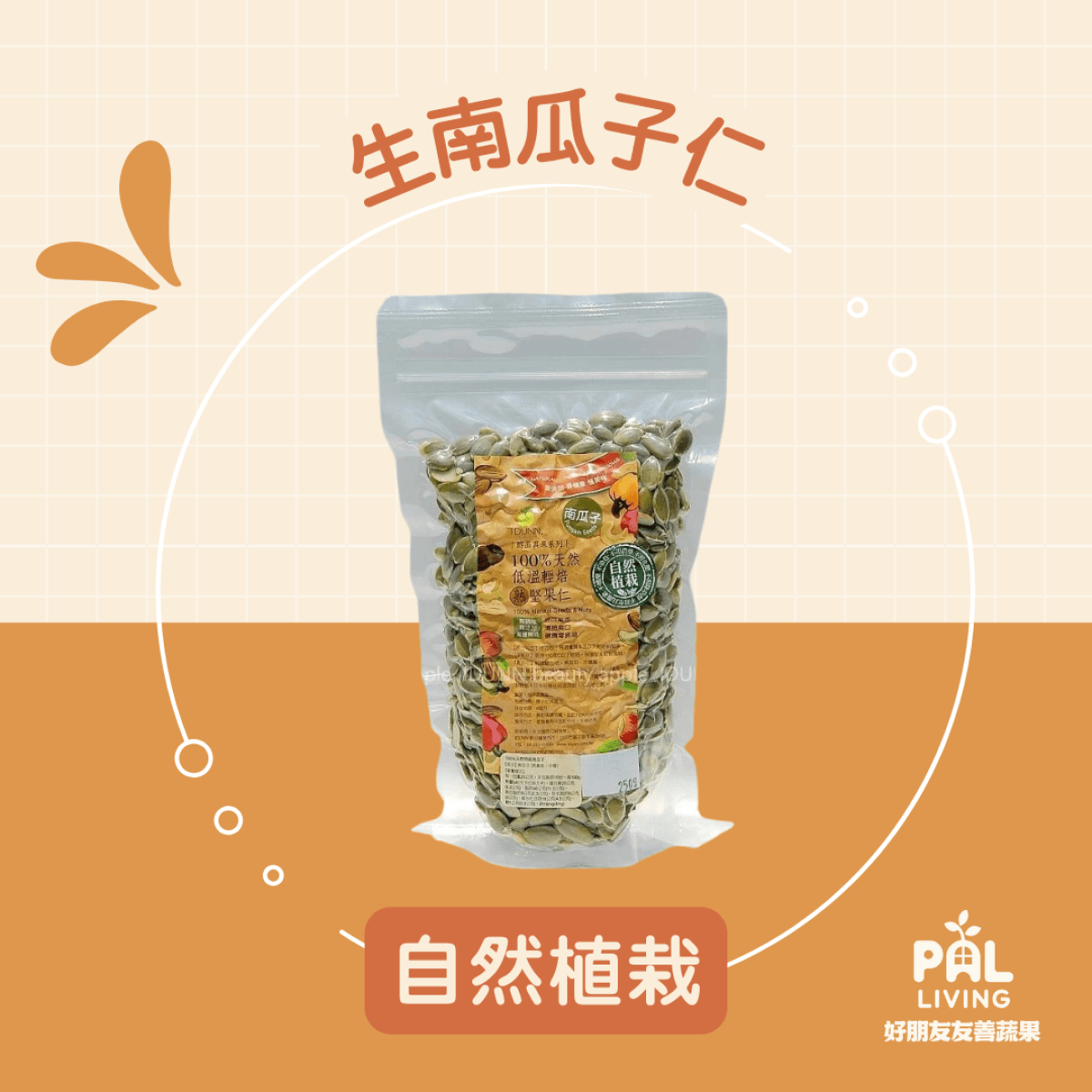 自然植栽 [生]南瓜子仁