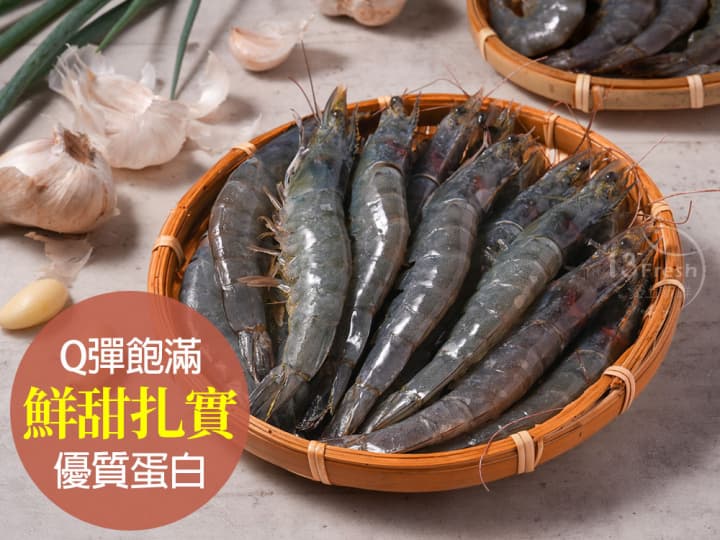 特選極鮮白蝦