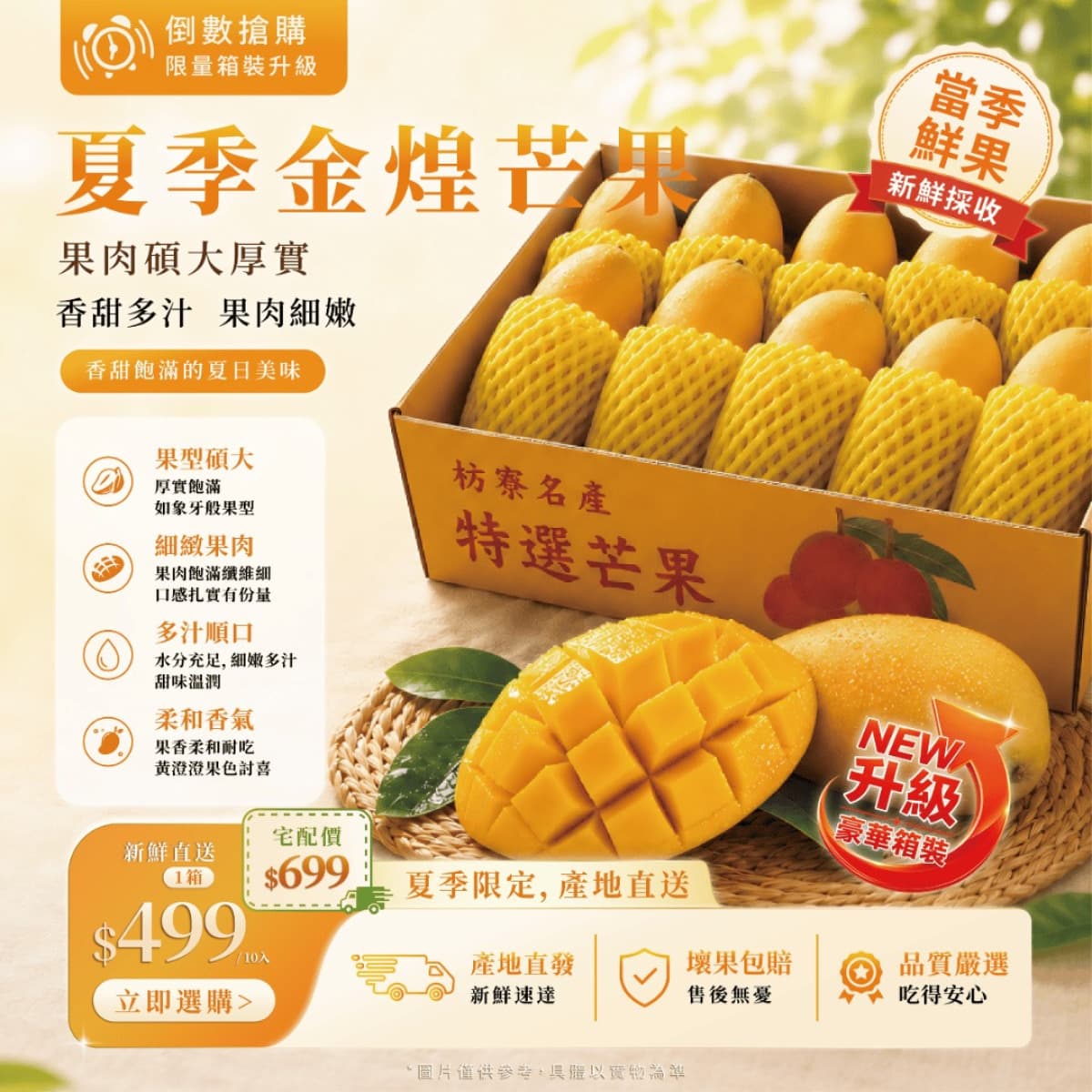 金煌芒果 一箱(10入)