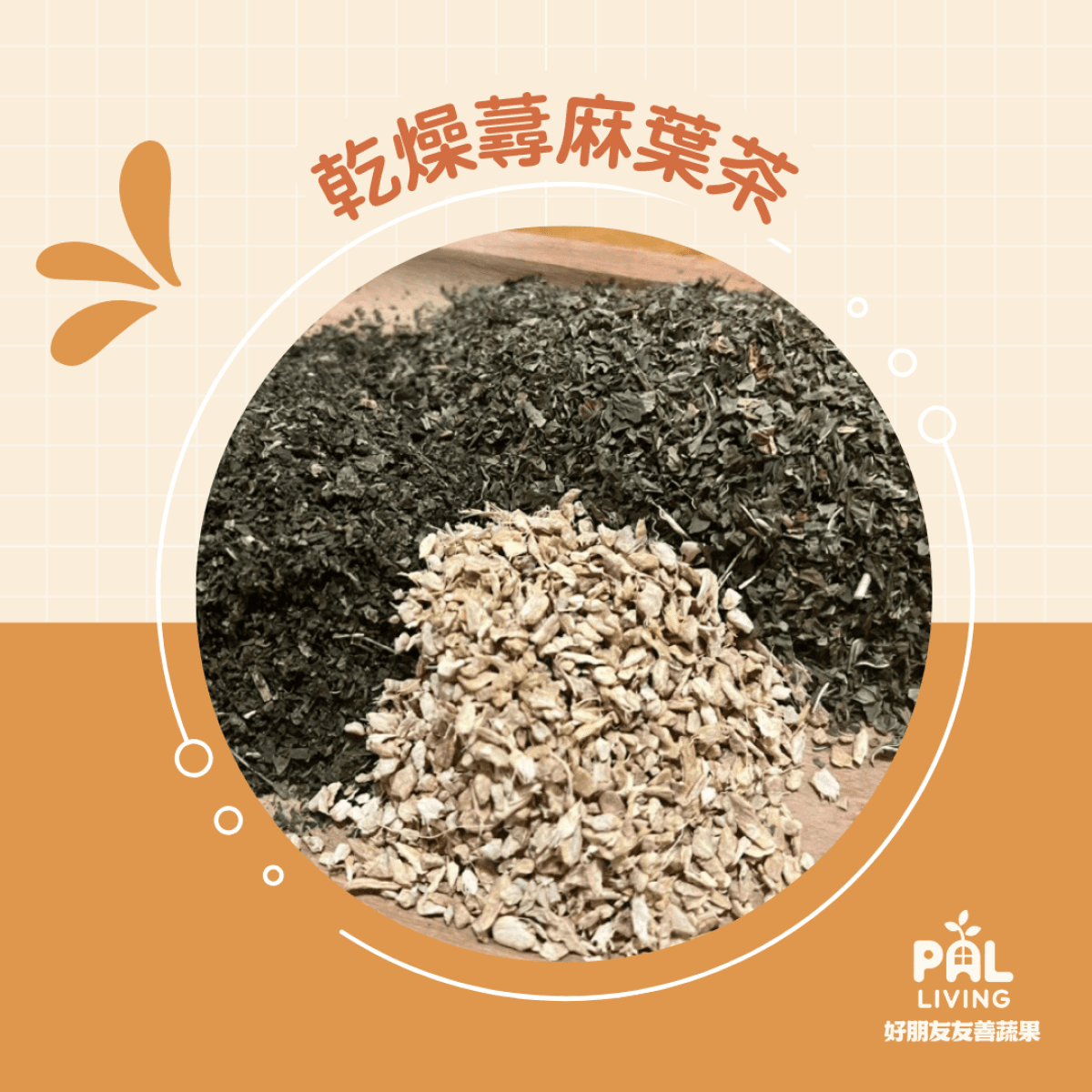 乾燥蕁麻葉茶