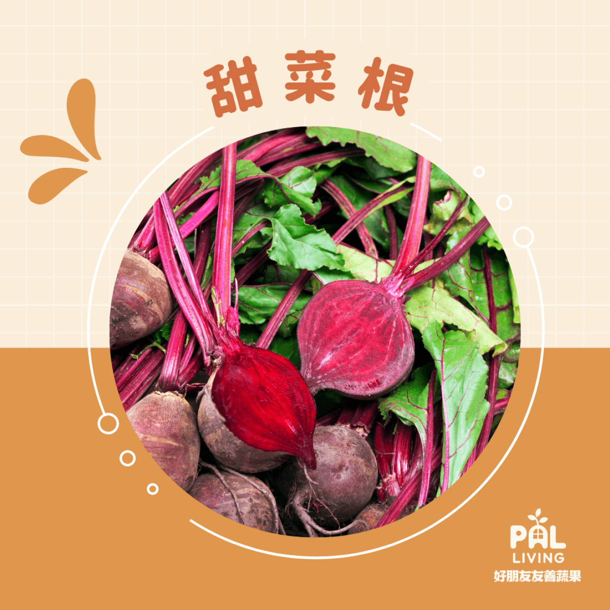 有機甜菜根