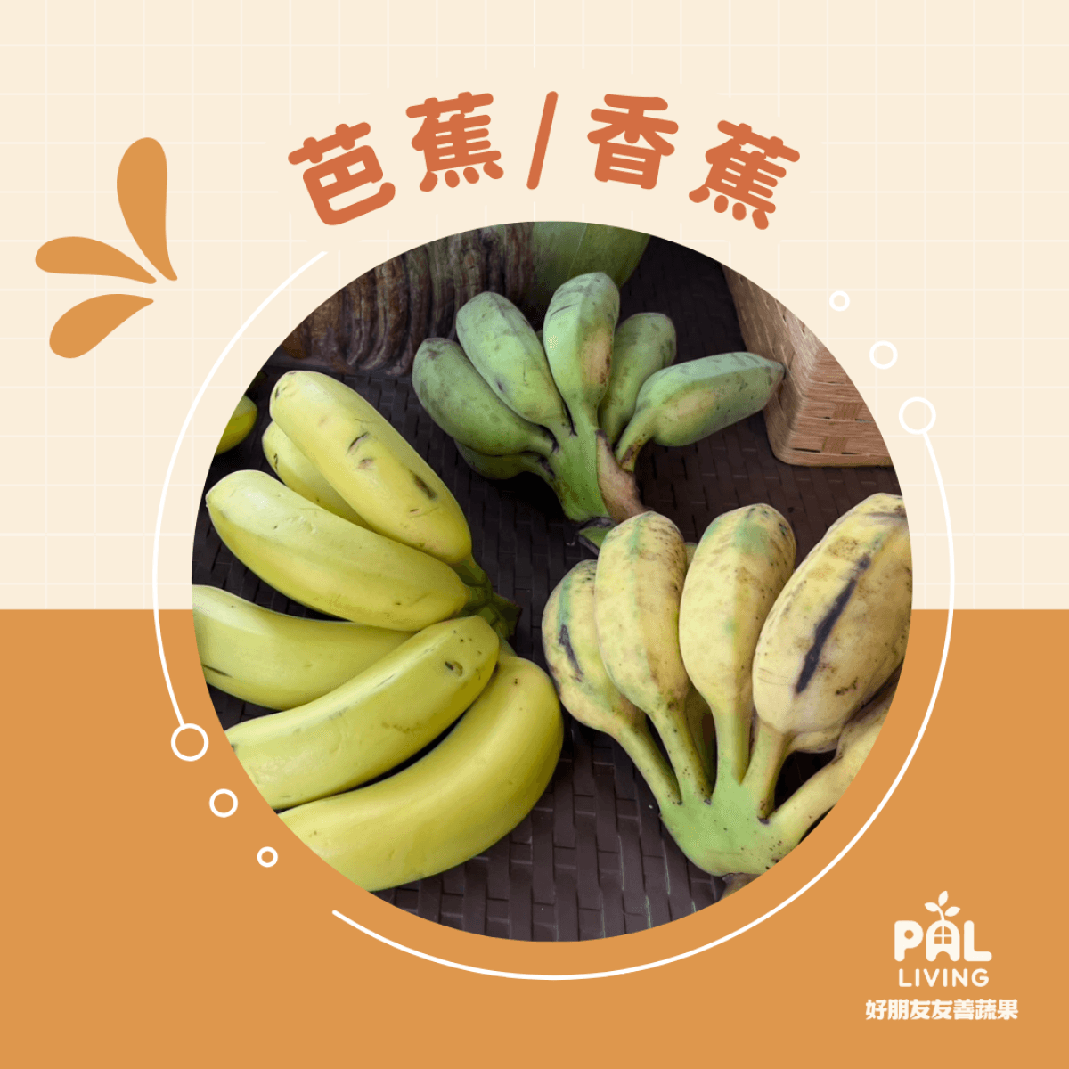 芫翊有機農場|芭蕉 / 香蕉
