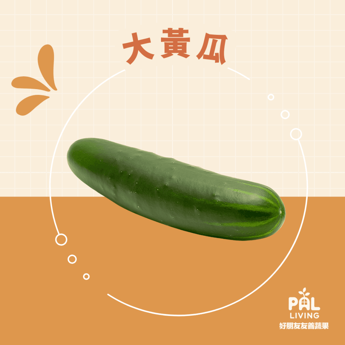 有機大黃瓜