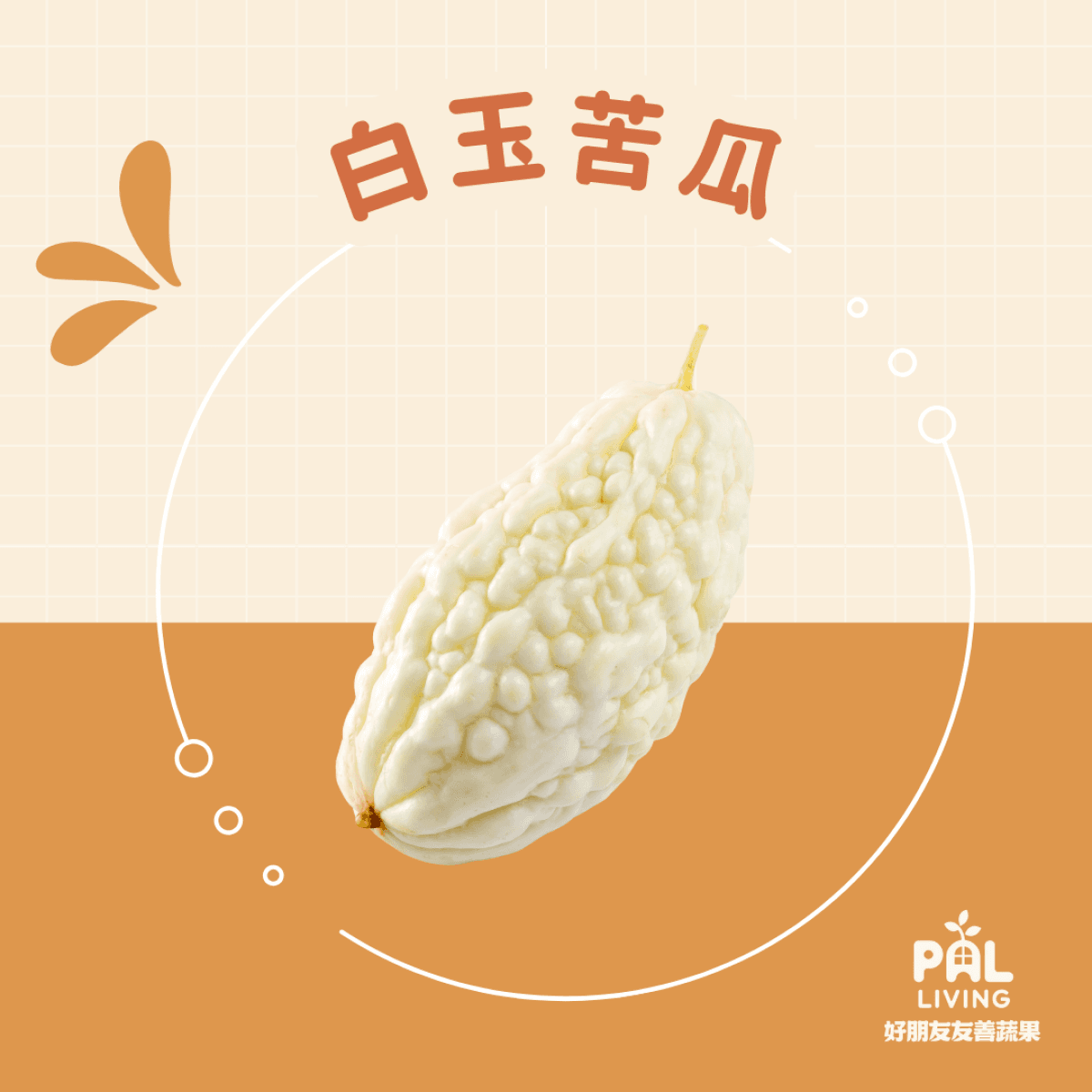 有機白玉苦瓜