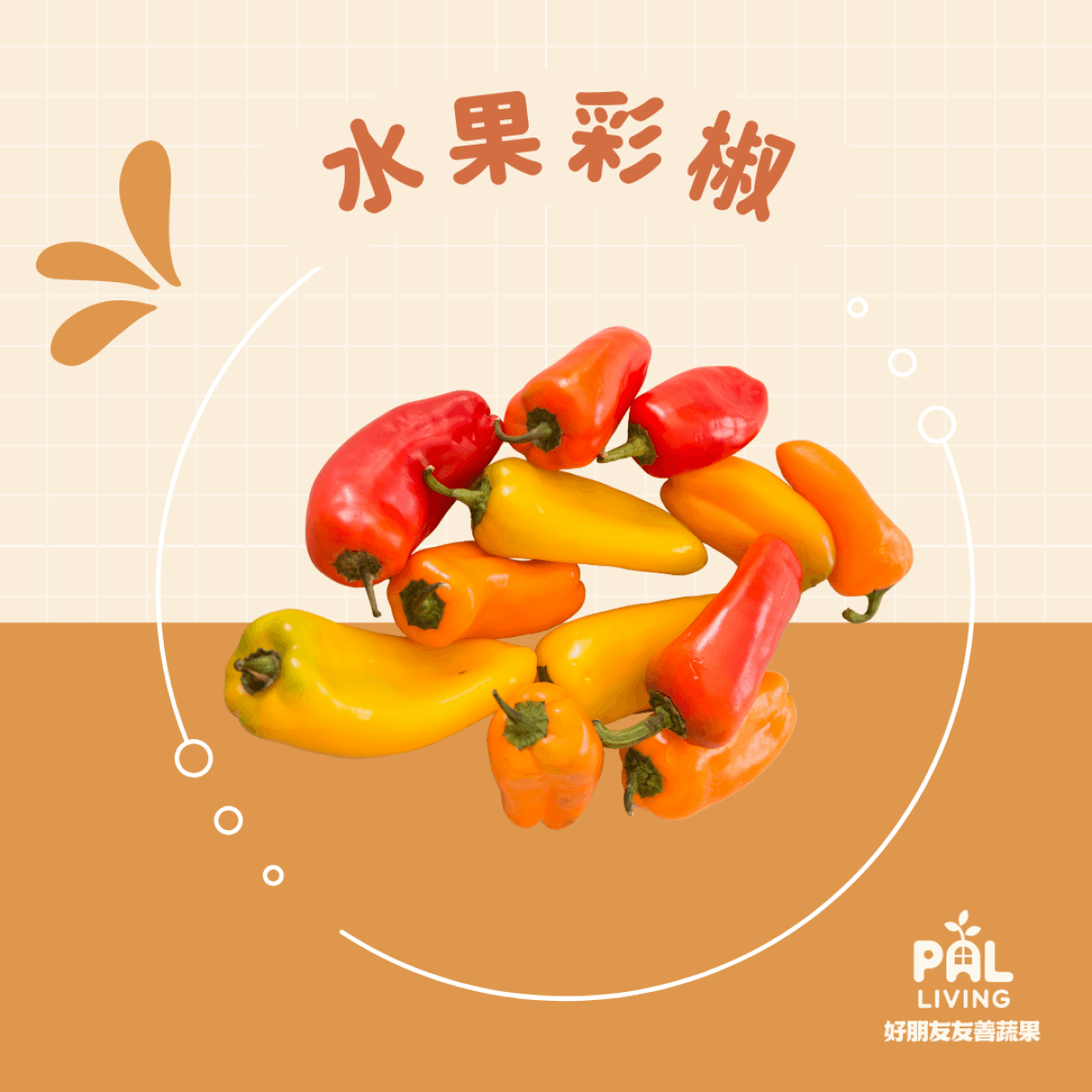無毒水果彩椒(小型品種)