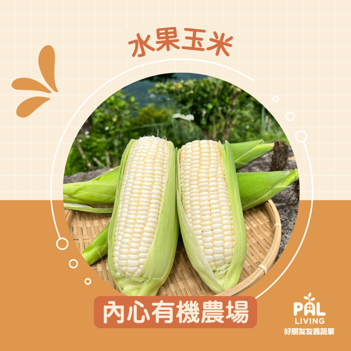 內心有機農場 | 有機水果玉米 (星期四到貨)
