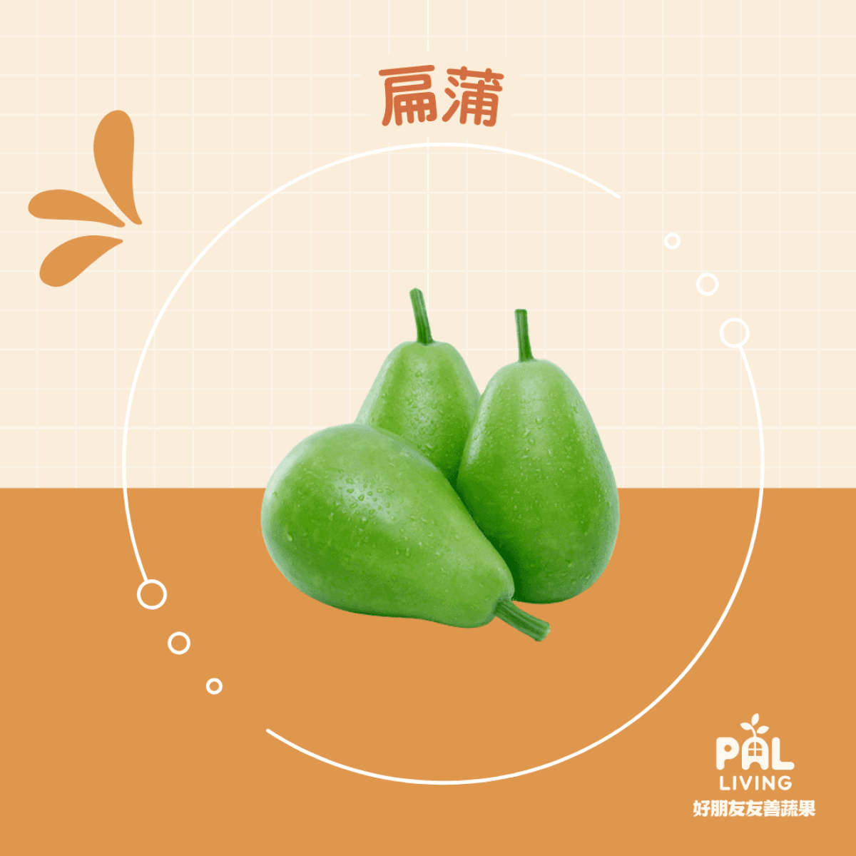 有機瓠瓜(扁蒲)