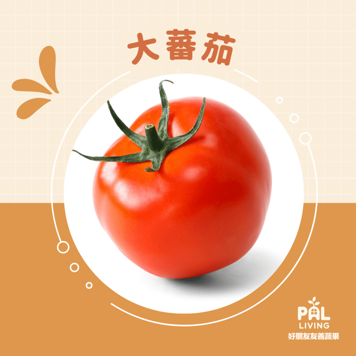 無毒牛蕃茄