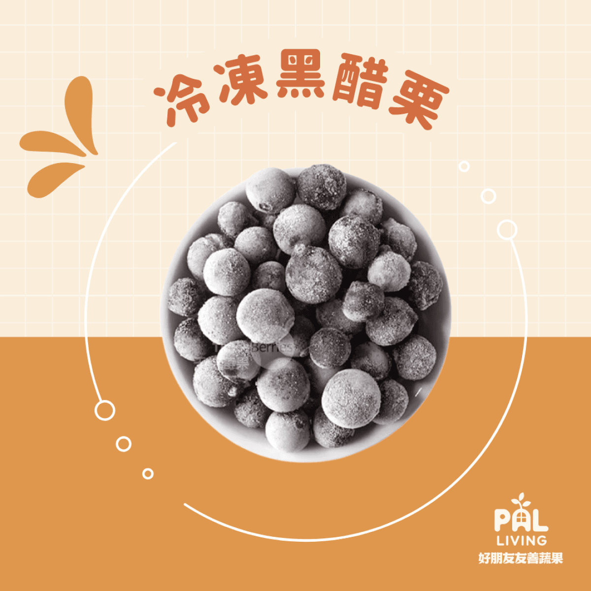中國 冷凍黑醋栗