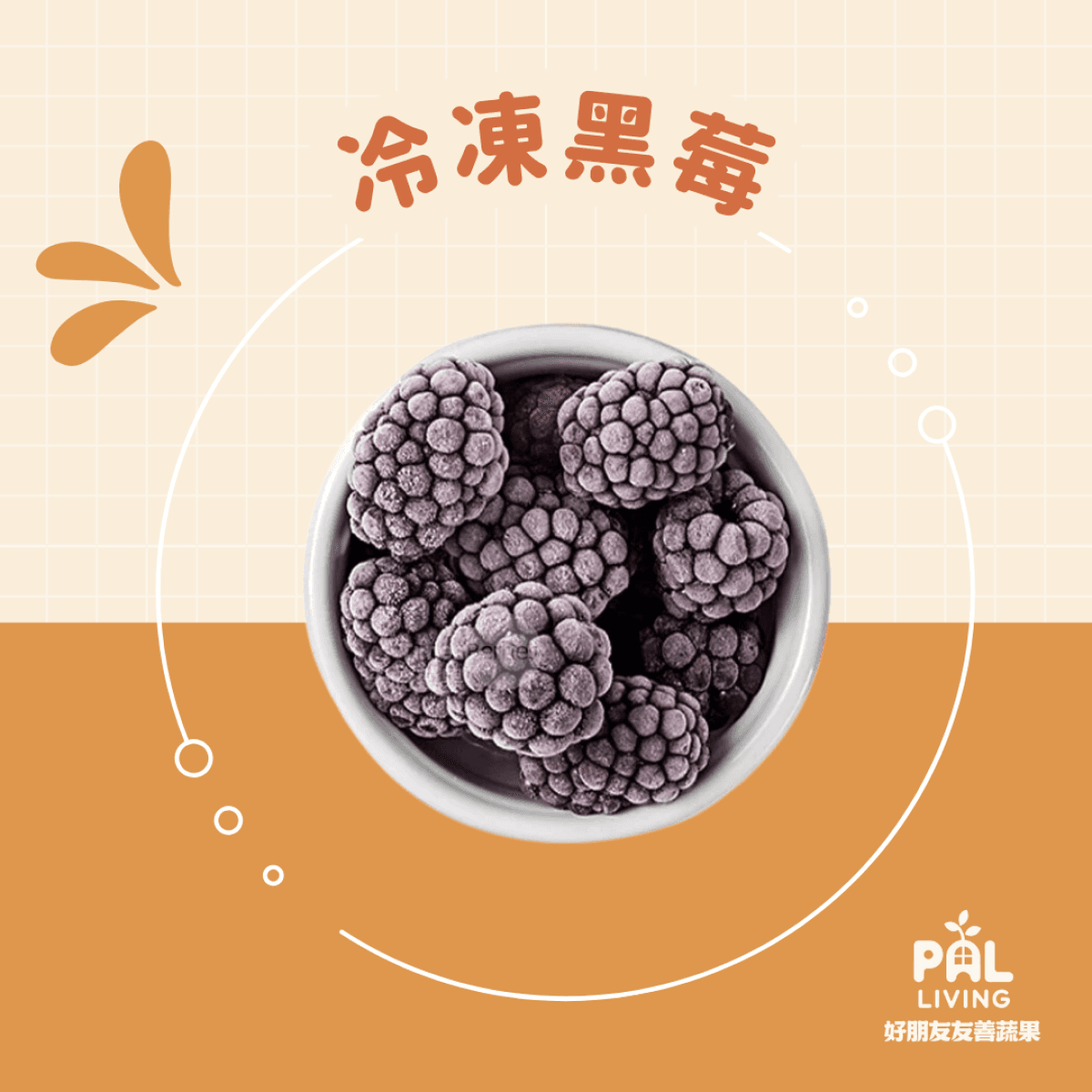 智利 冷凍黑莓