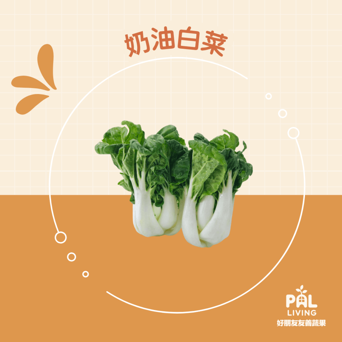 有機奶油白菜