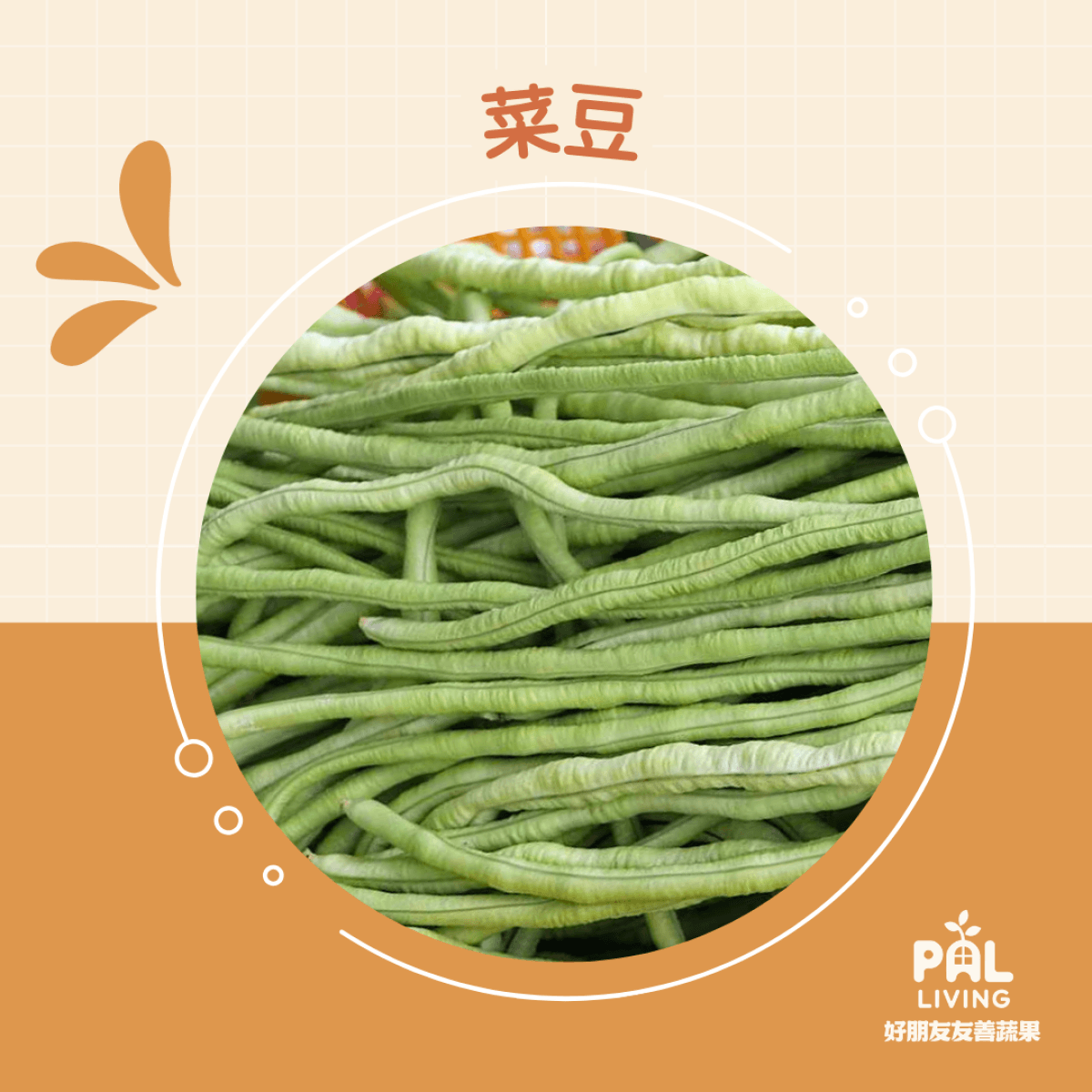 有機菜豆(長豆)