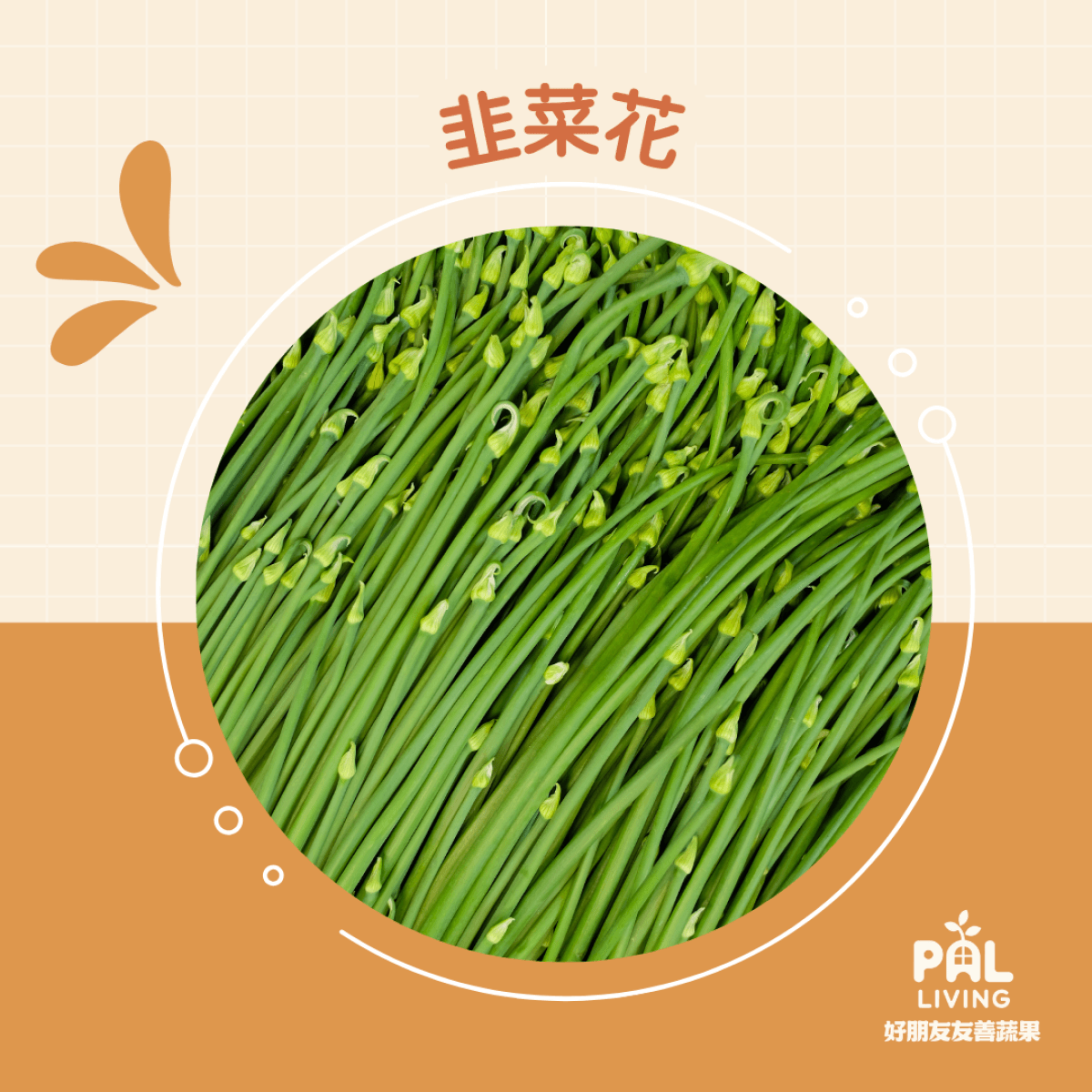 有機韭菜花