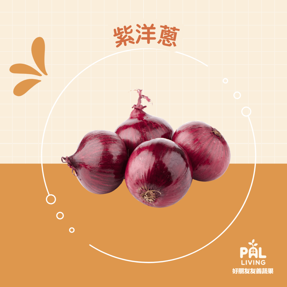 有機台灣紫洋蔥