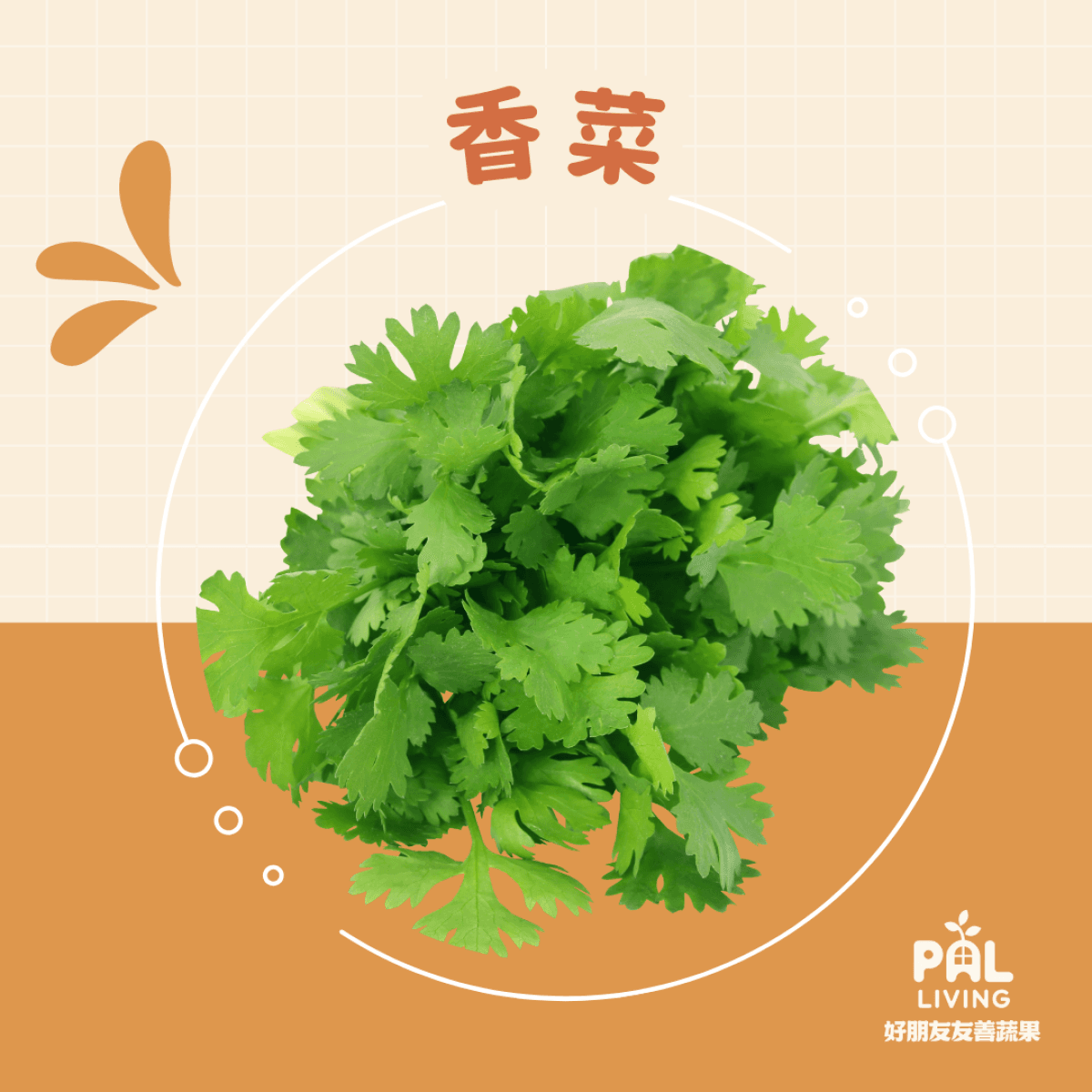 無毒香菜